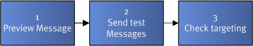 Message Testing - Process Flow